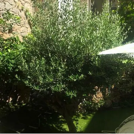 Lejlighed Petite Maison Atypique Avec Jardin Au Coeur D'ajaccio *